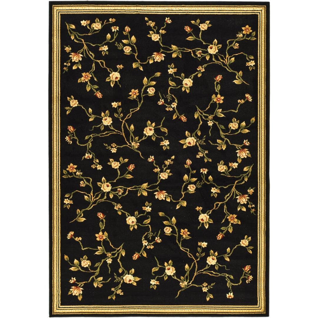 SAFAVIEH Lyndhurst Collection LNH220A Black Rug Image 3