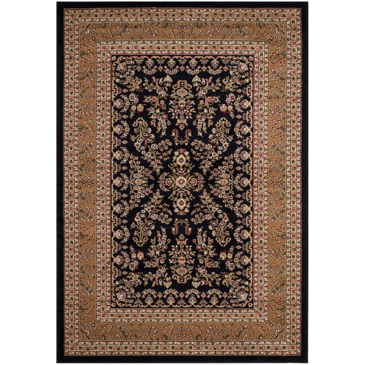 SAFAVIEH Lyndhurst LNH331D Black / Tan Rug Image 5