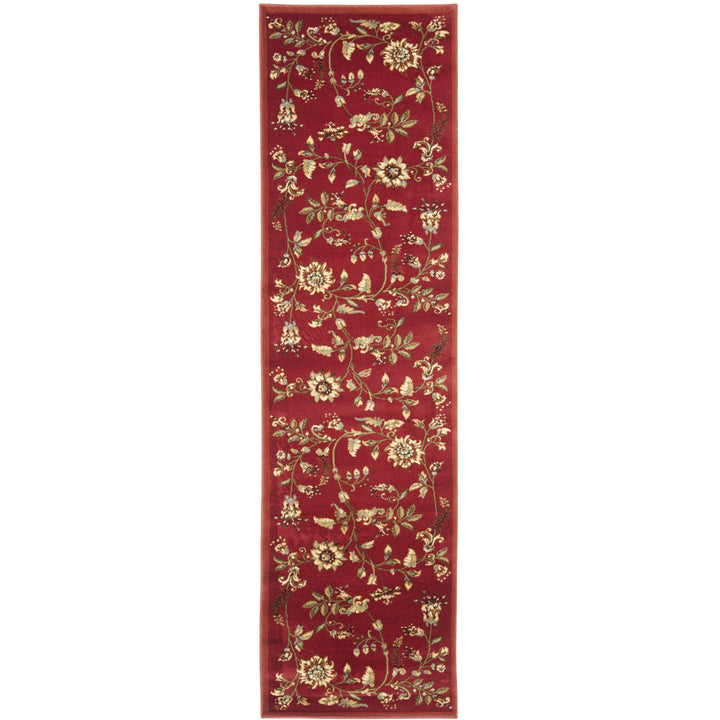 SAFAVIEH Lyndhurst LNH552-4091 Red / Multi Rug Image 1