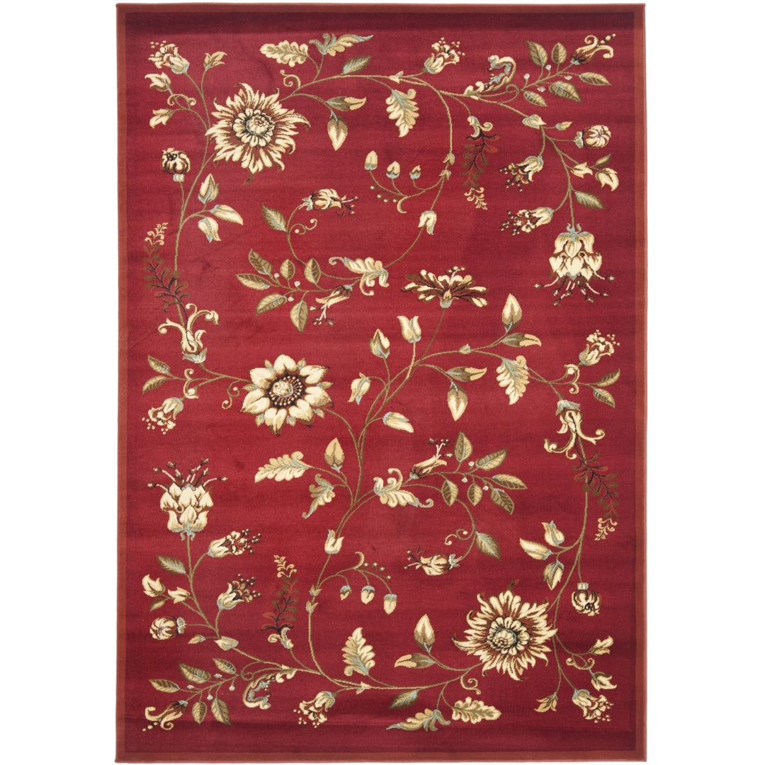 SAFAVIEH Lyndhurst LNH552-4091 Red / Multi Rug Image 3