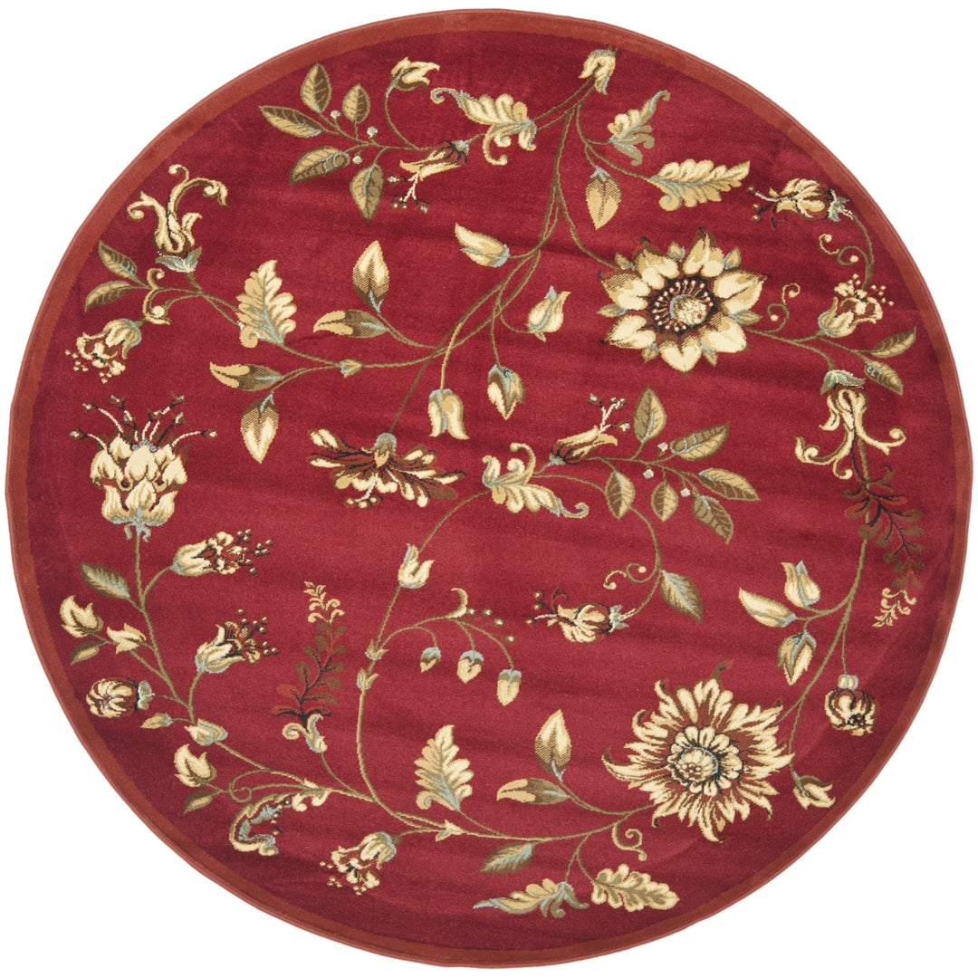 SAFAVIEH Lyndhurst LNH552-4091 Red / Multi Rug Image 4