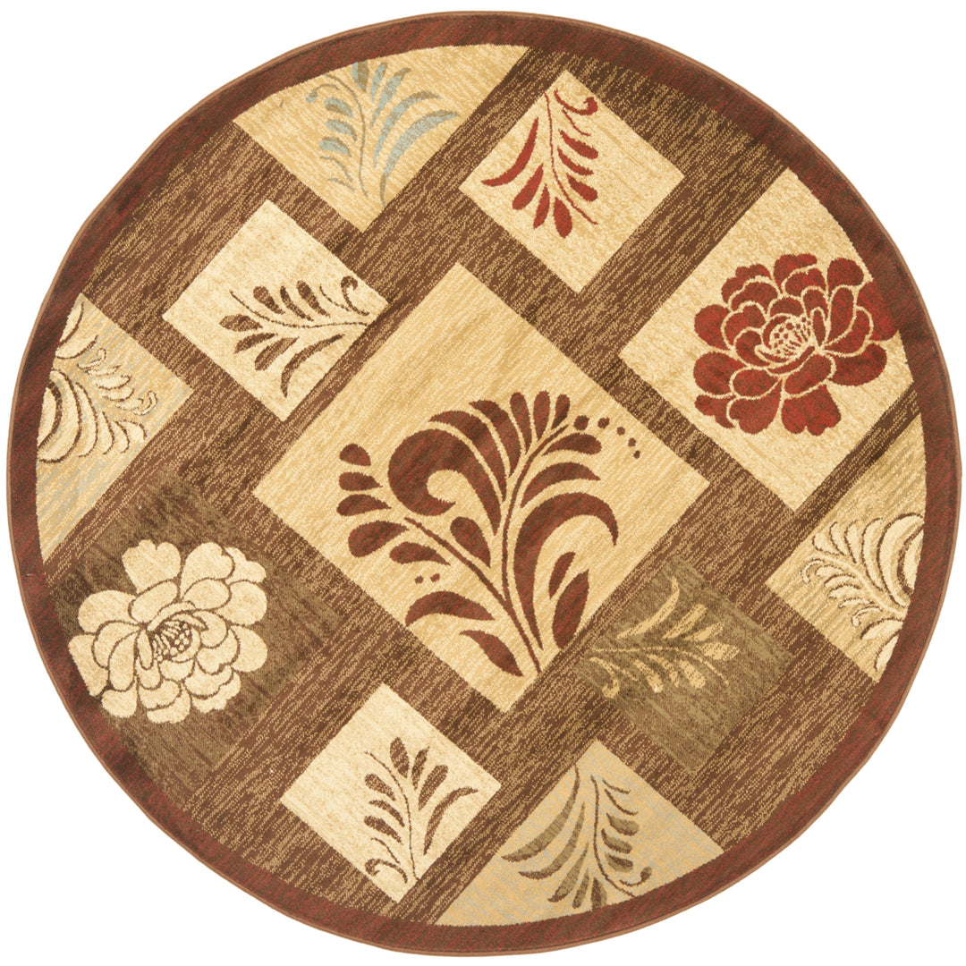 SAFAVIEH Lyndhurst LNH554-2591 Brown / Multi Rug Image 4