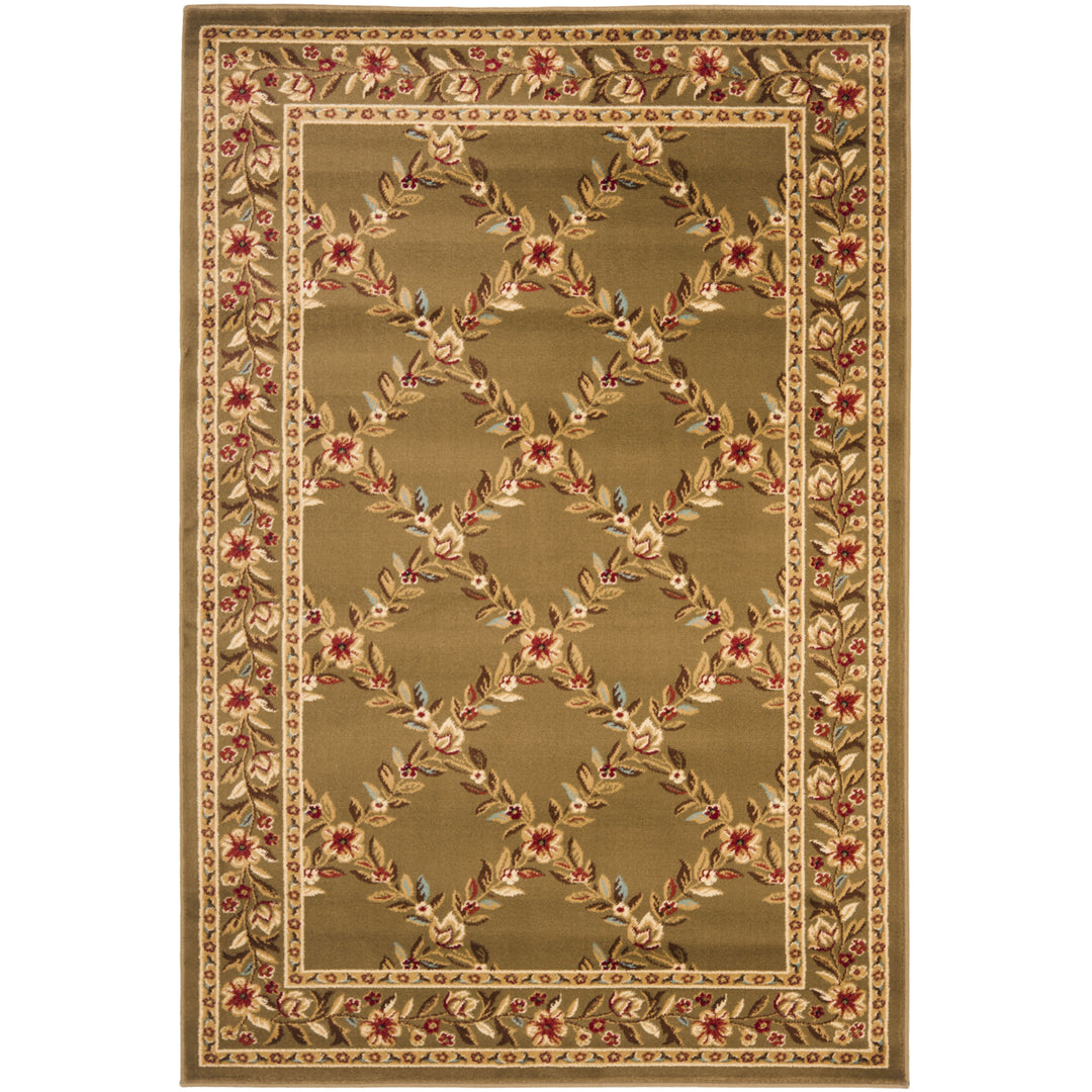 SAFAVIEH Lyndhurst LNH557-2525 Brown / Brown Rug Image 2