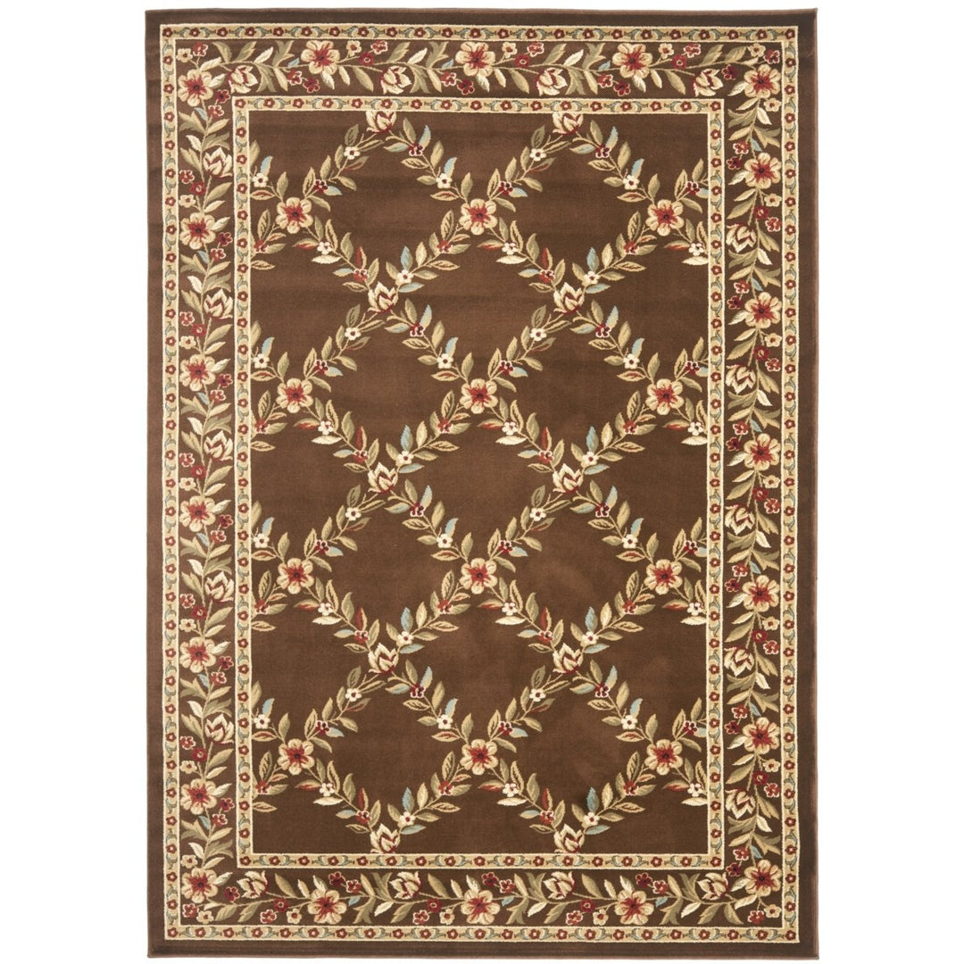 SAFAVIEH Lyndhurst LNH557-2525 Brown / Brown Rug Image 1