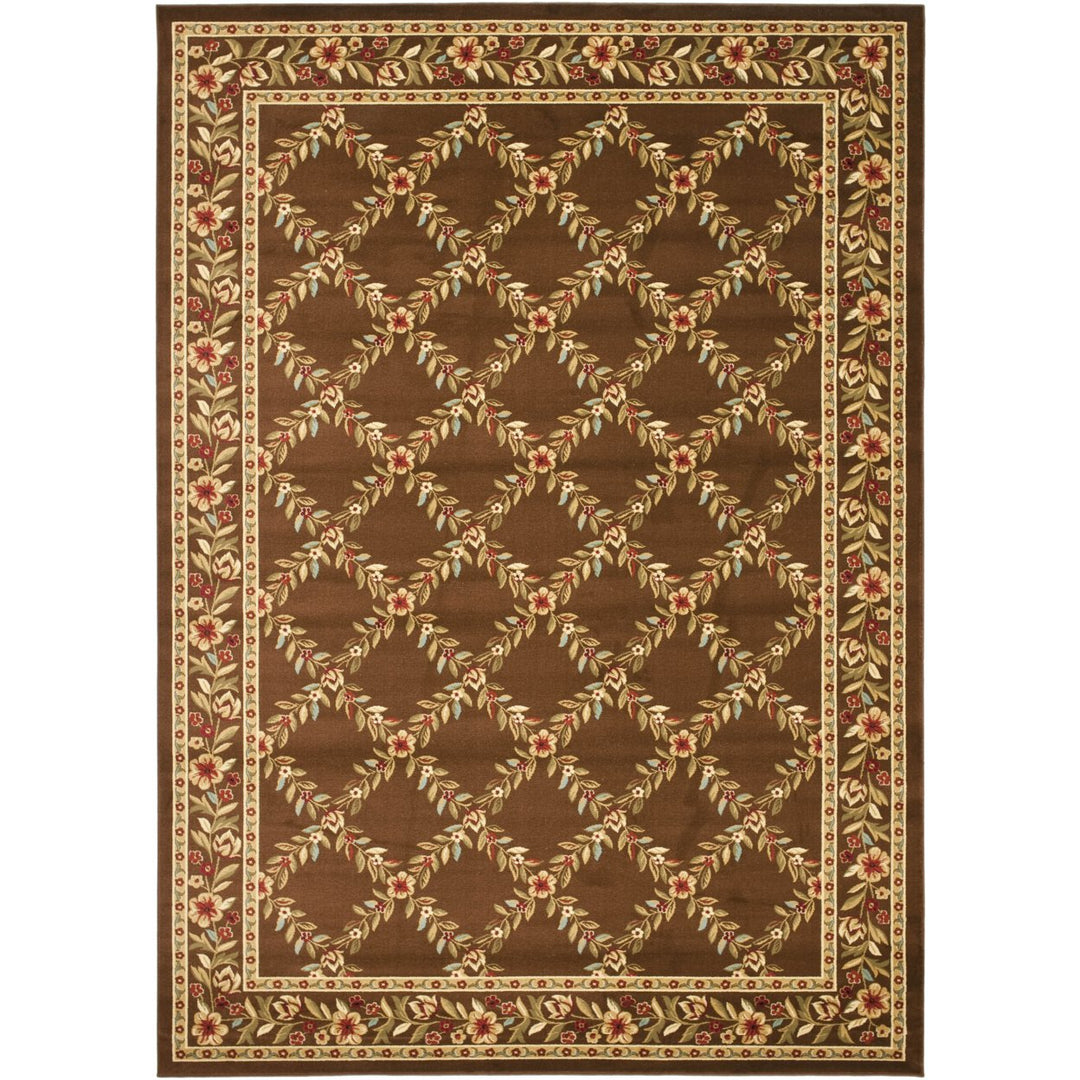 SAFAVIEH Lyndhurst LNH557-2525 Brown / Brown Rug Image 1