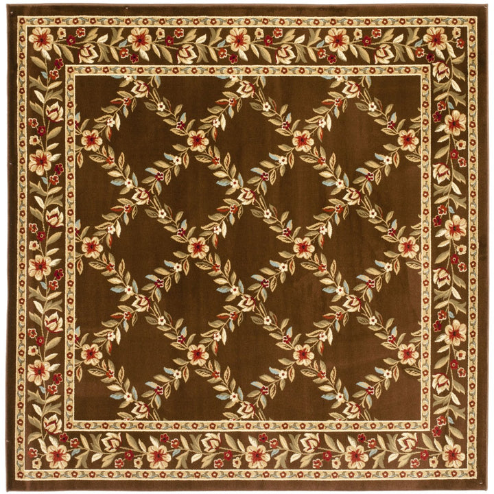 SAFAVIEH Lyndhurst LNH557-2525 Brown / Brown Rug Image 1