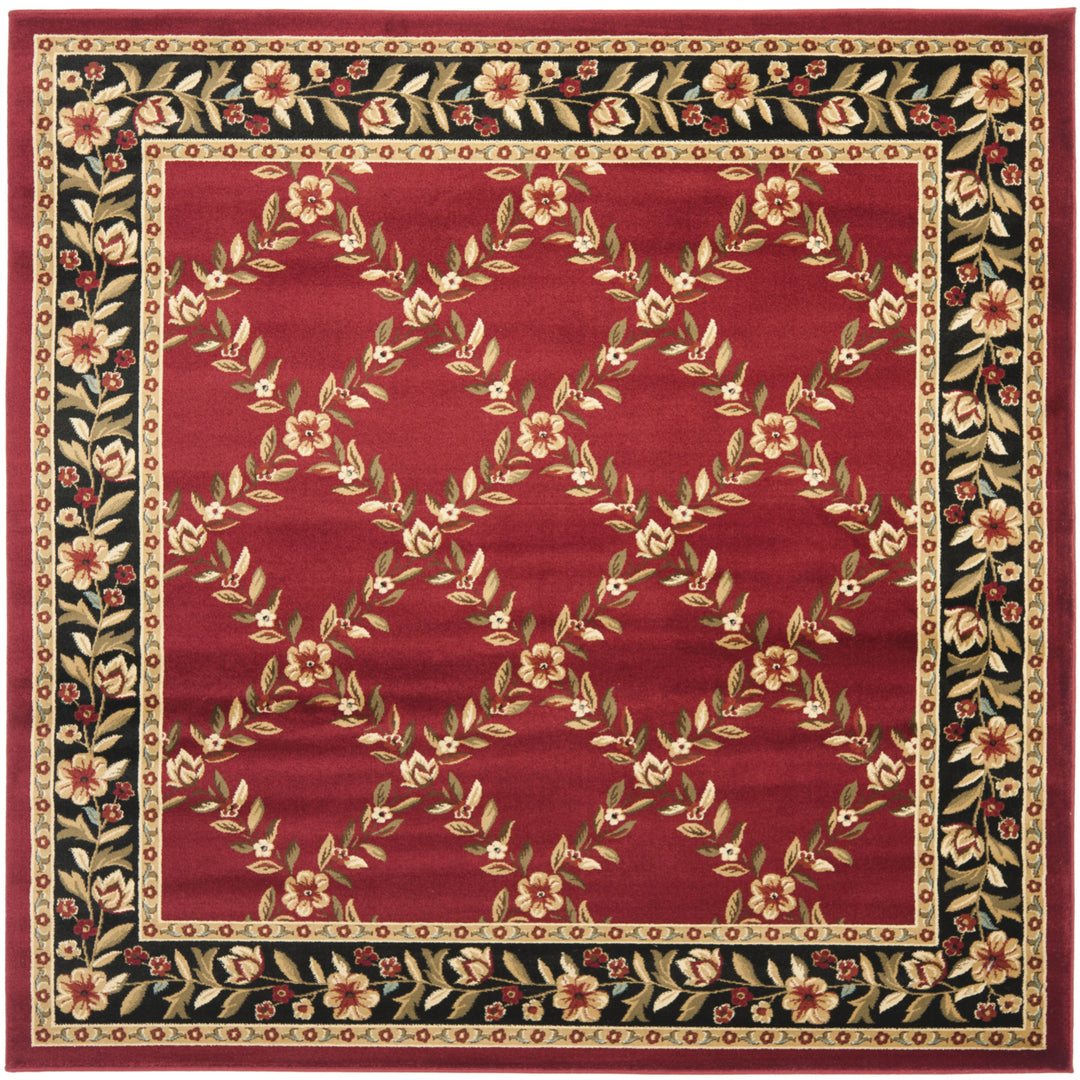 SAFAVIEH Lyndhurst LNH557-4090 Red / Black Rug Image 6