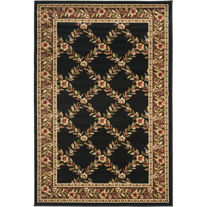 SAFAVIEH Lyndhurst LNH557-9025 Black / Brown Rug Image 1