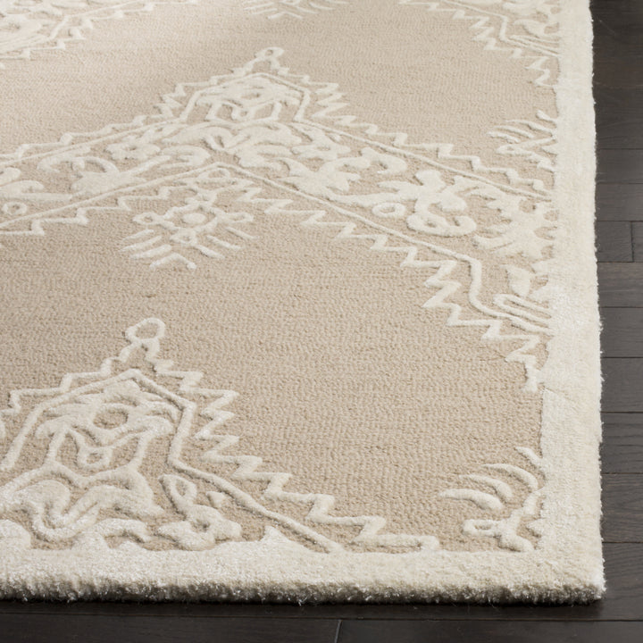 SAFAVIEH Manchester MNH523B Beige / Ivory Rug Image 3