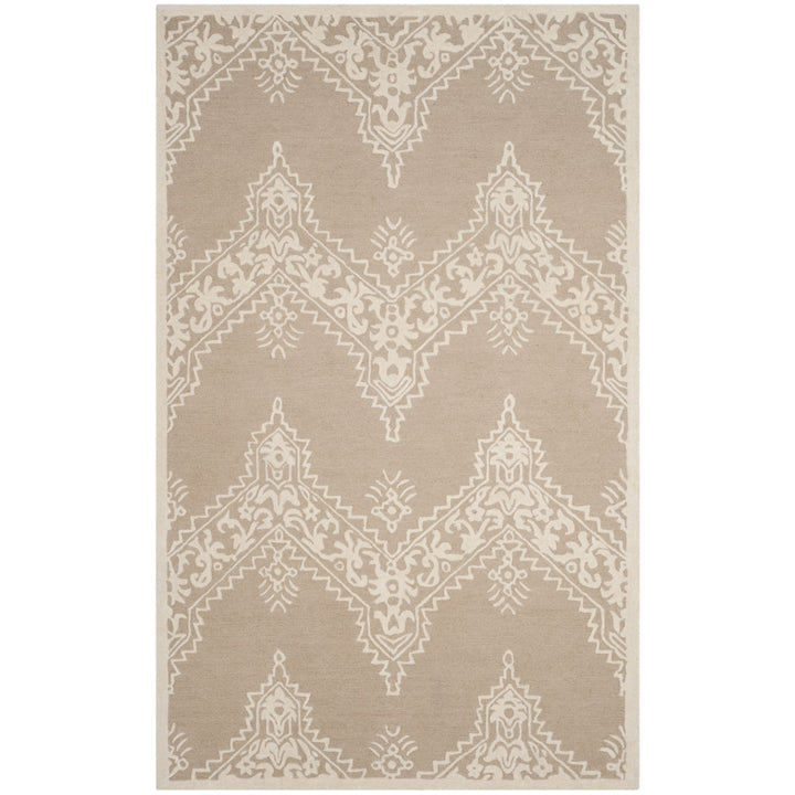 SAFAVIEH Manchester MNH523B Beige / Ivory Rug Image 4