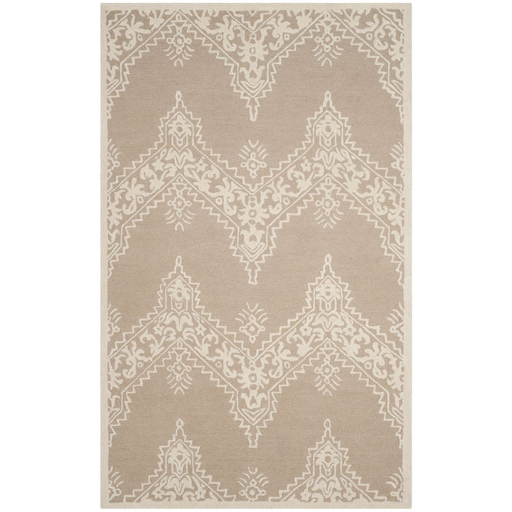 SAFAVIEH Manchester MNH523B Beige / Ivory Rug Image 1