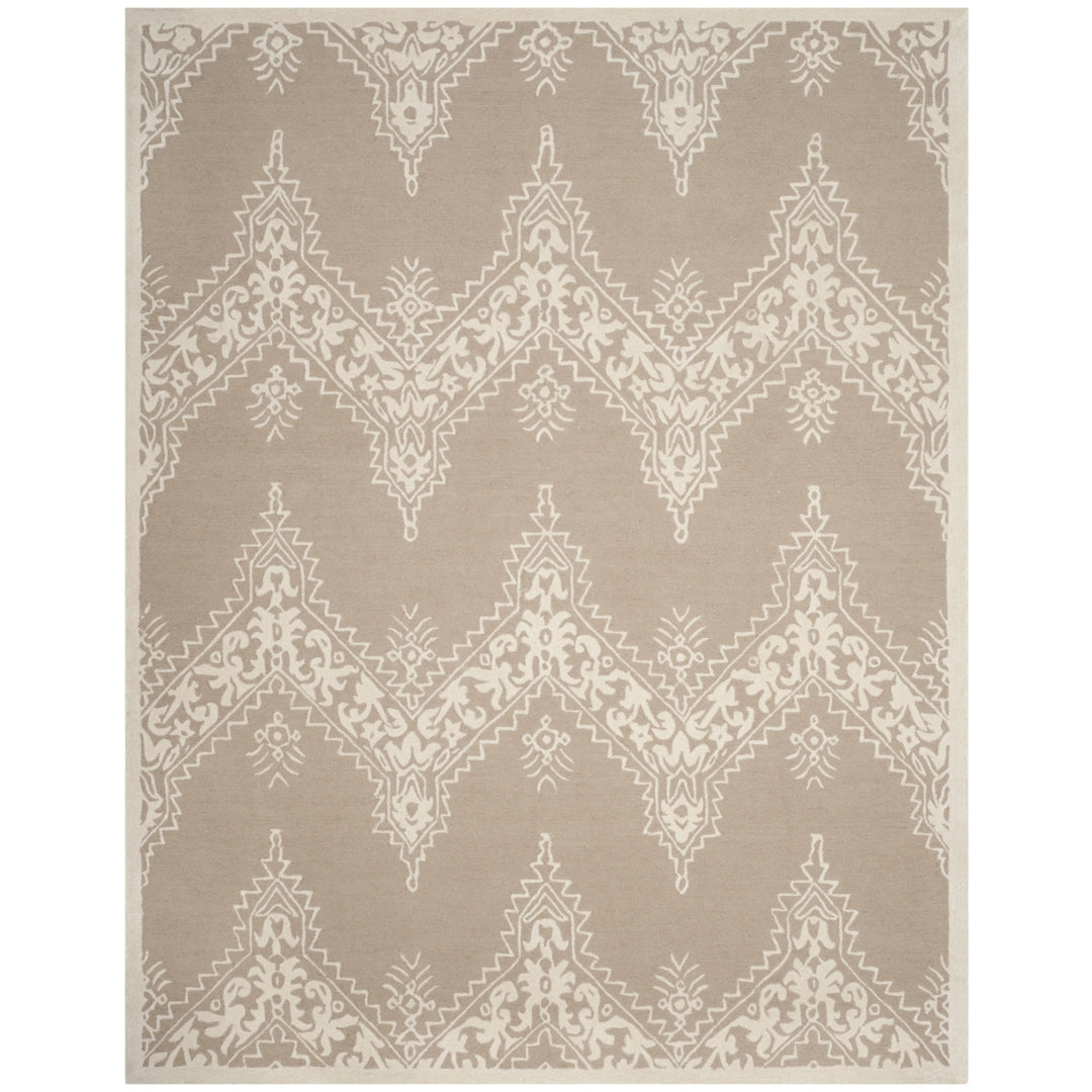 SAFAVIEH Manchester MNH523B Beige / Ivory Rug Image 5