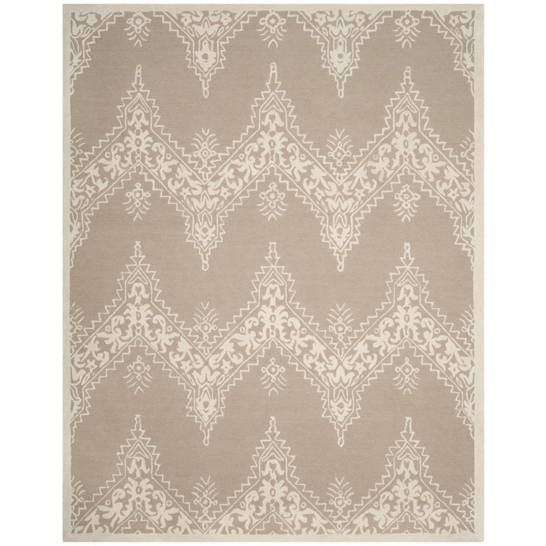 SAFAVIEH Manchester MNH523B Beige / Ivory Rug Image 1