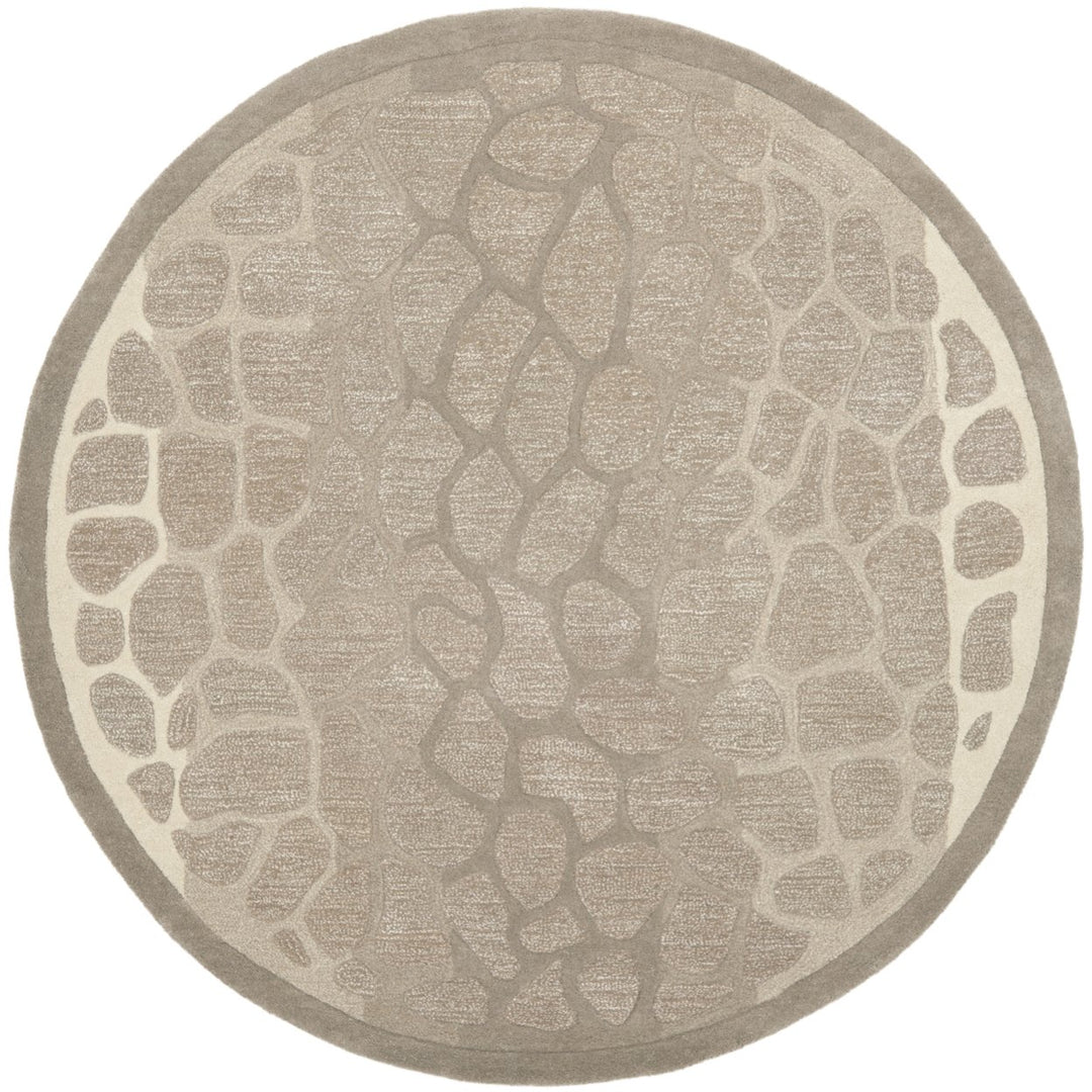 SAFAVIEH Martha Stewart MSR3615B B Wheat F Beige Rug Image 3