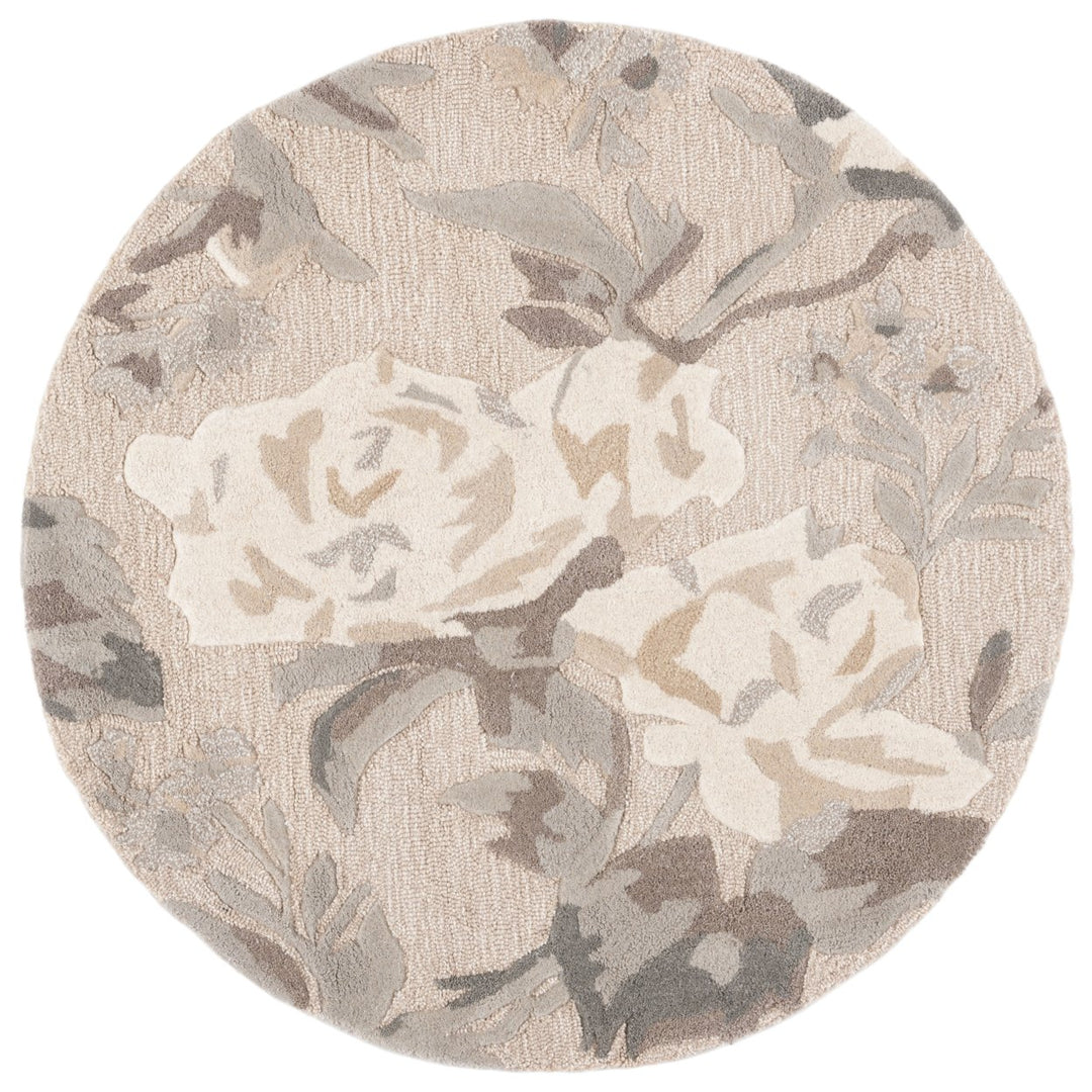 SAFAVIEH Martha Stewart MSR4717B Bedford Grey Rug Image 1