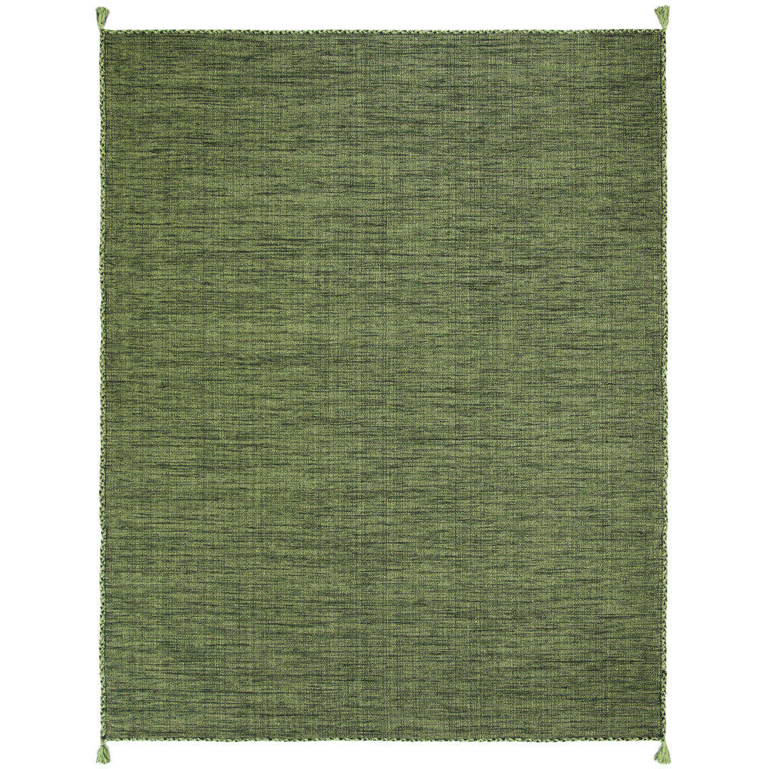 SAFAVIEH Montauk MTK150Y Handwoven Green / Black Rug Image 1