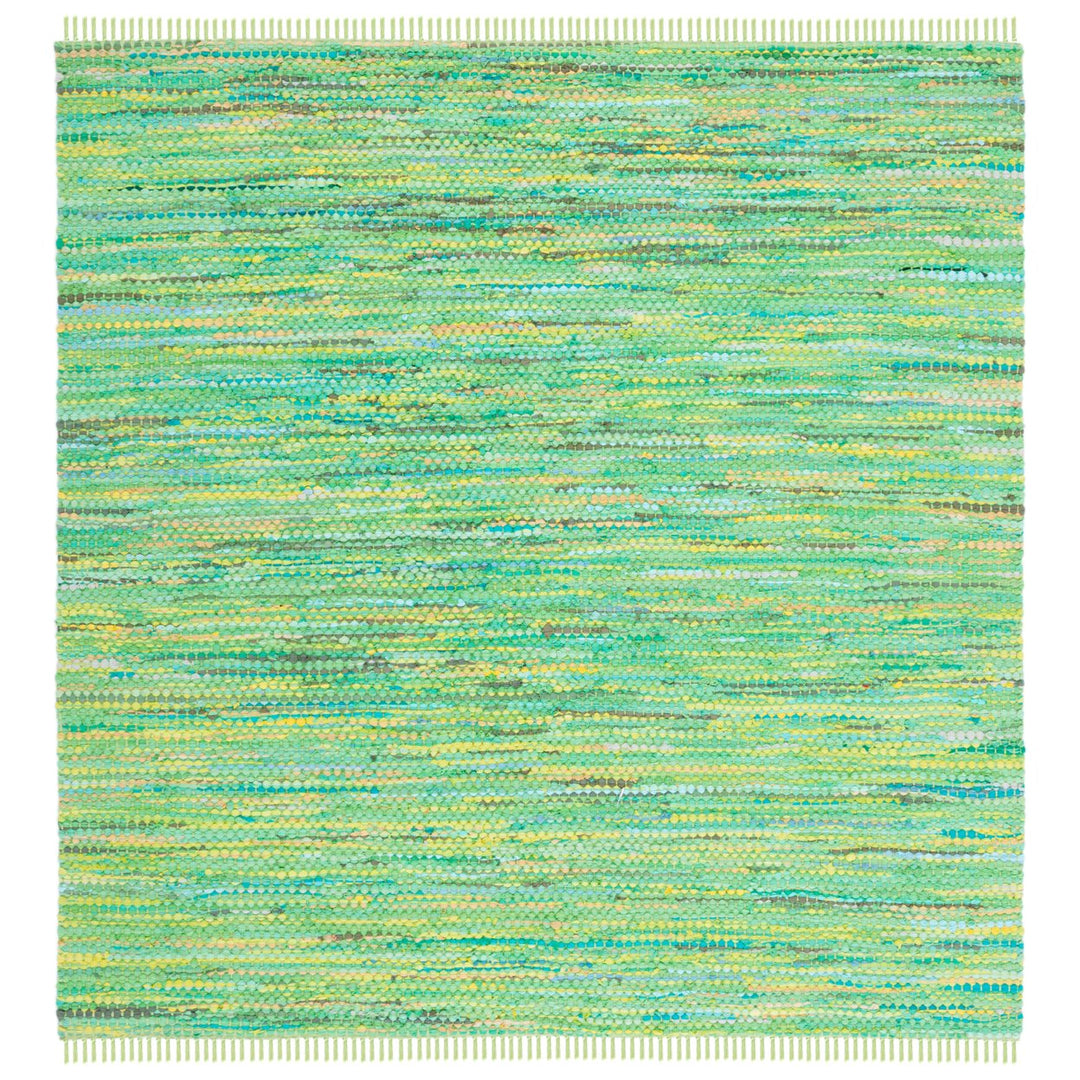 SAFAVIEH Montauk Collection MTK251Y Handwoven Green Rug Image 1