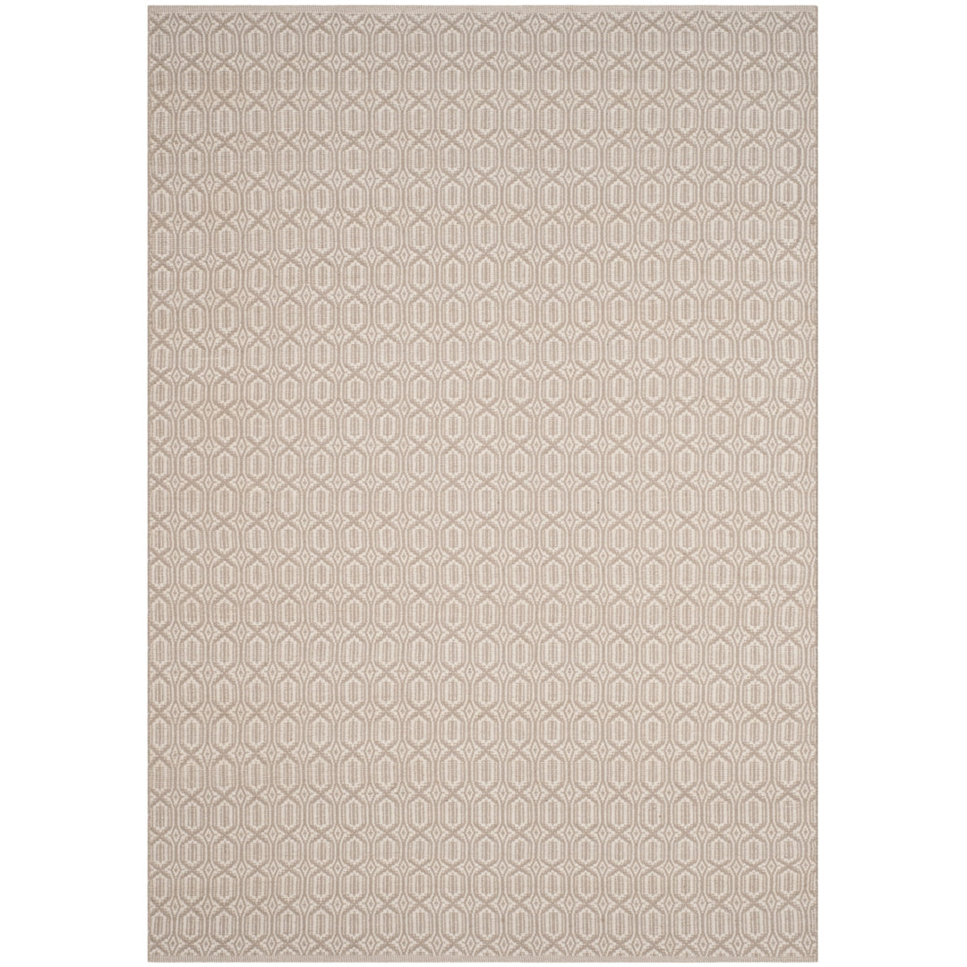 SAFAVIEH Montauk MTK333A Handwoven Ivory / Grey Rug Image 5