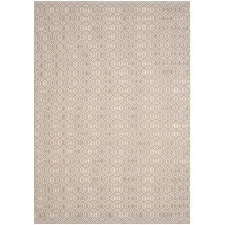 SAFAVIEH Montauk MTK333A Handwoven Ivory / Grey Rug Image 5