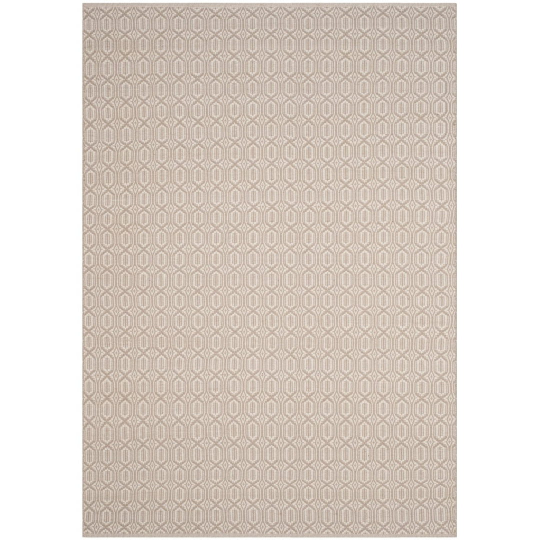 SAFAVIEH Montauk MTK333A Handwoven Ivory / Grey Rug Image 1