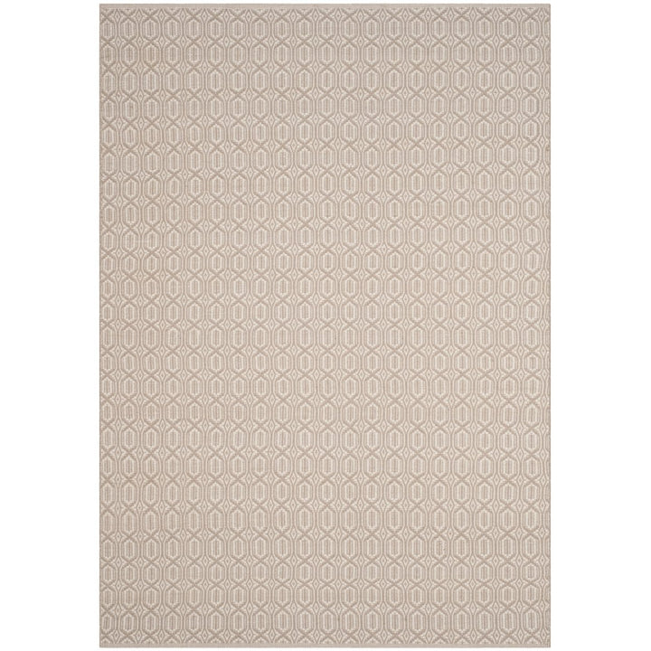 SAFAVIEH Montauk MTK333A Handwoven Ivory / Grey Rug Image 1