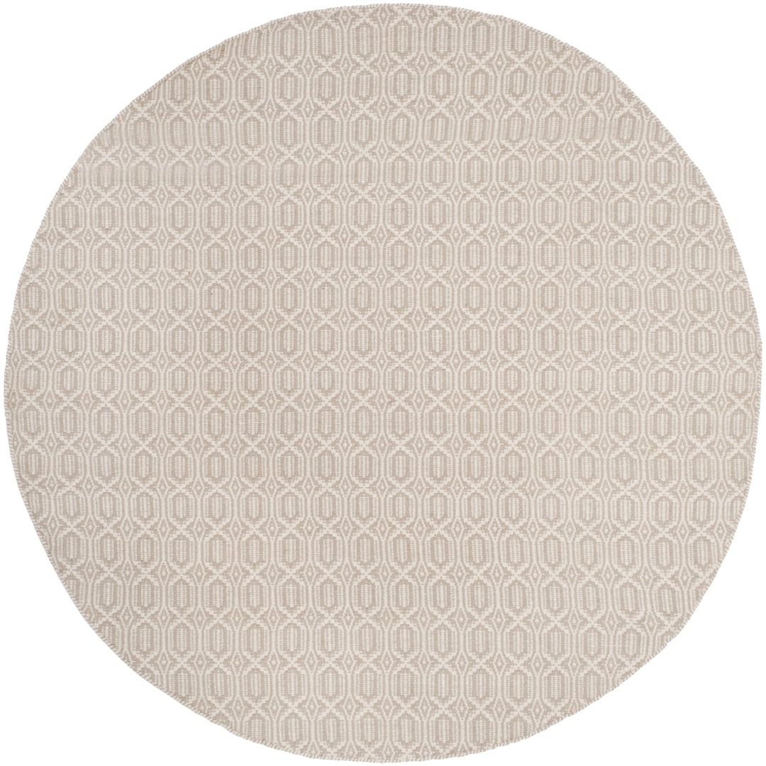 SAFAVIEH Montauk MTK333A Handwoven Ivory / Grey Rug Image 6