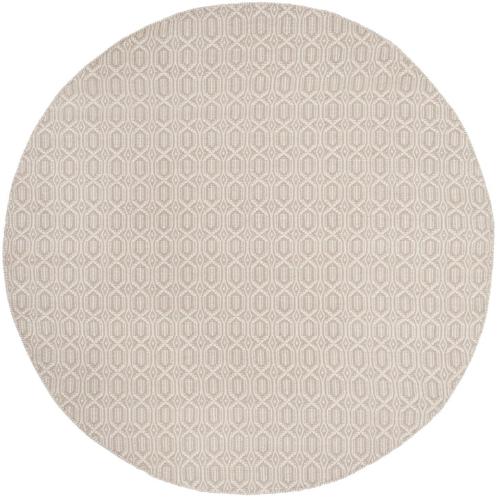 SAFAVIEH Montauk MTK333A Handwoven Ivory / Grey Rug Image 1