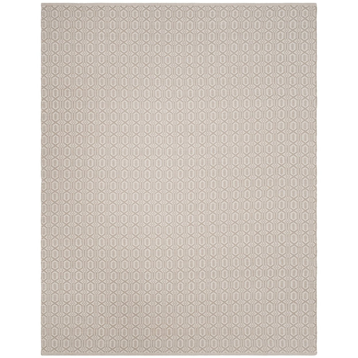 SAFAVIEH Montauk MTK333A Handwoven Ivory / Grey Rug Image 1