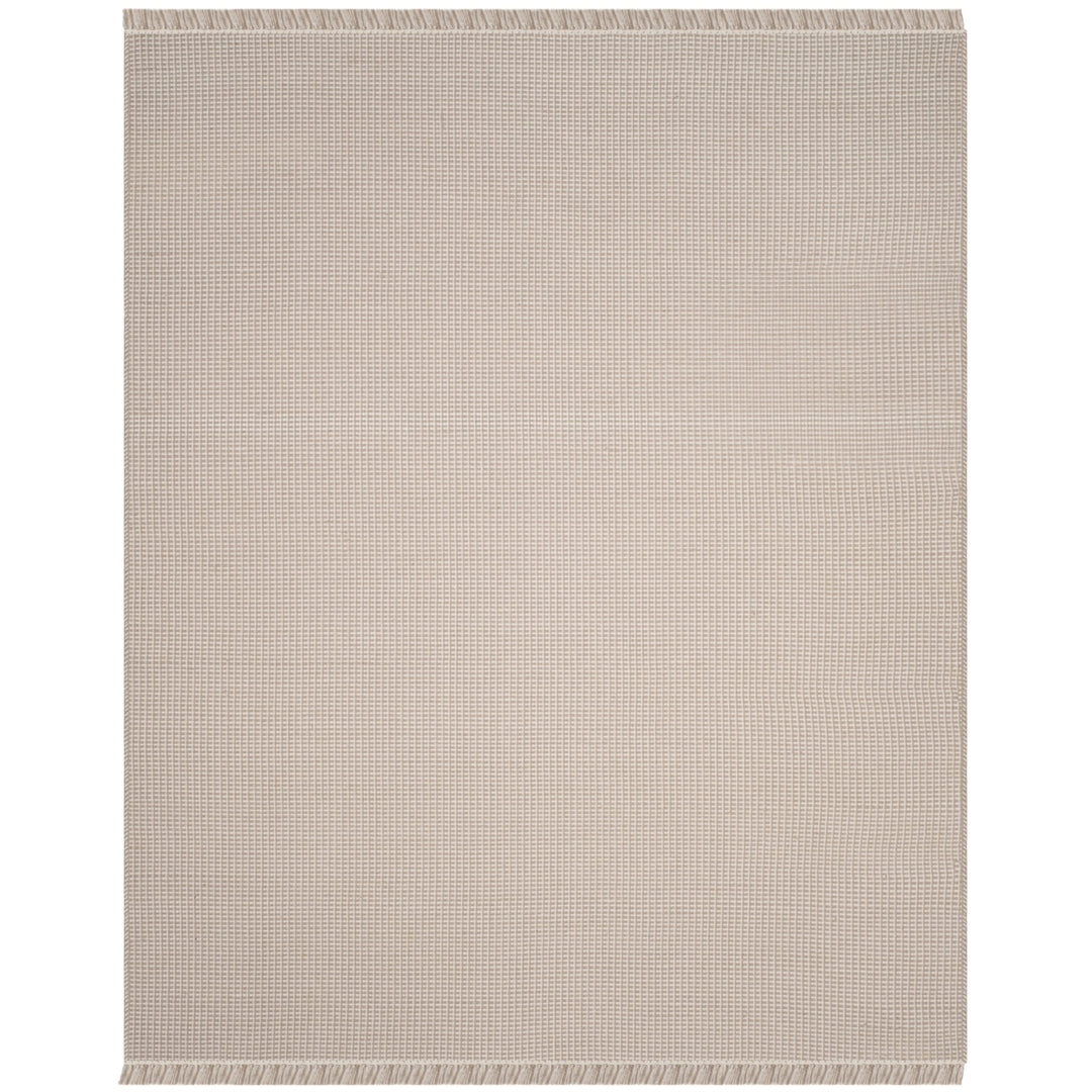 SAFAVIEH Montauk MTK340A Handwoven Ivory / Grey Rug Image 2