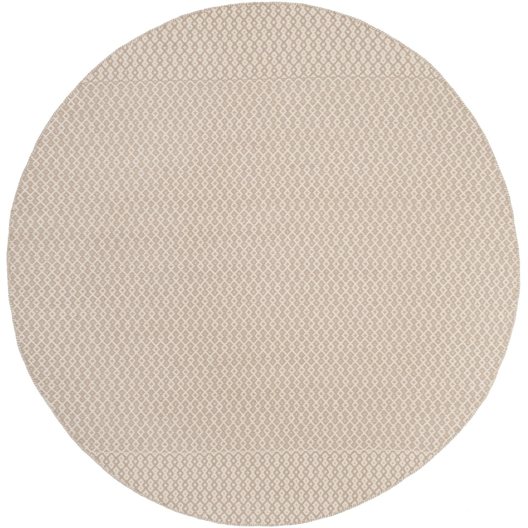 SAFAVIEH Montauk MTK339A Handwoven Ivory / Grey Rug Image 1