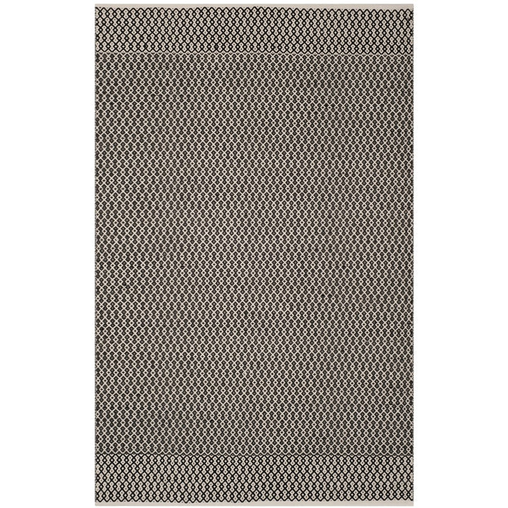 SAFAVIEH Montauk MTK339D Handwoven Ivory / Black Rug Image 1