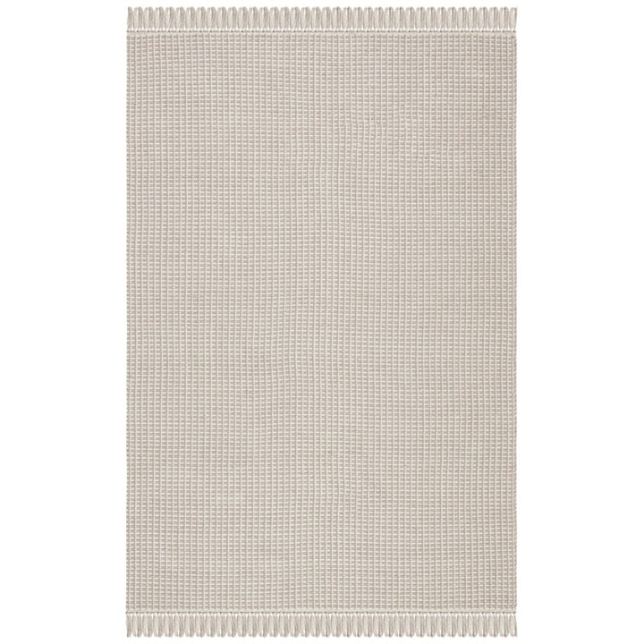 SAFAVIEH Montauk MTK340A Handwoven Ivory / Grey Rug Image 1