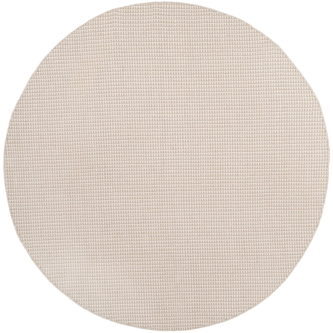 SAFAVIEH Montauk MTK340A Handwoven Ivory / Grey Rug Image 1