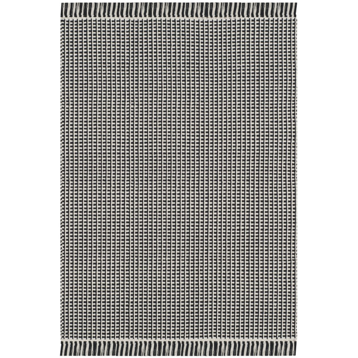 SAFAVIEH Montauk MTK340D Handwoven Ivory / Black Rug Image 1