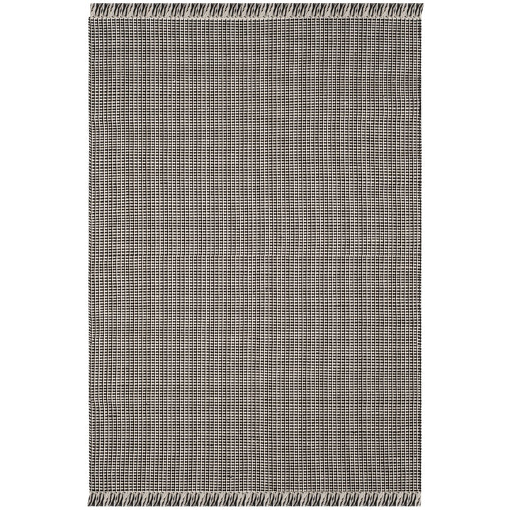 SAFAVIEH Montauk MTK340D Handwoven Ivory / Black Rug Image 1