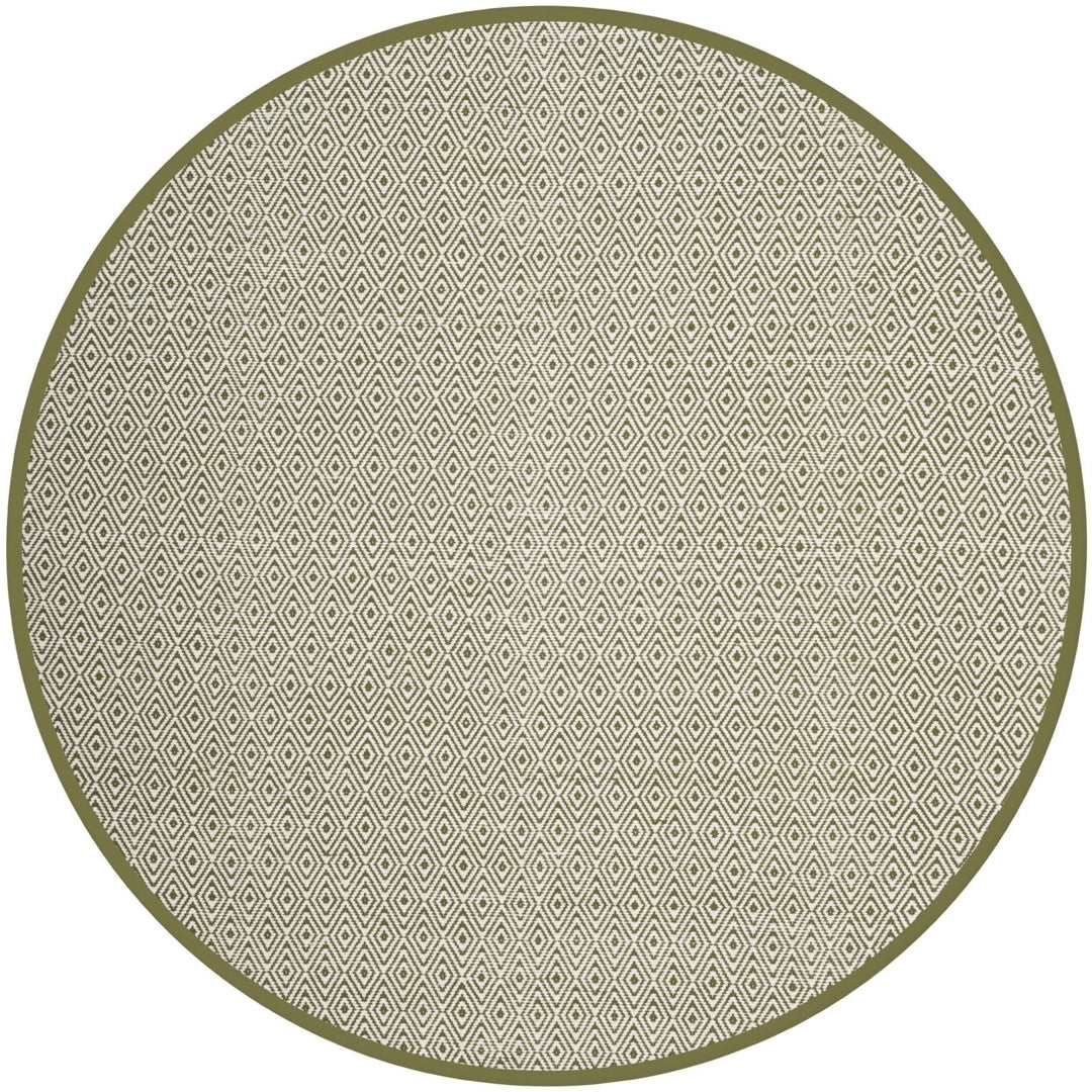 SAFAVIEH Montauk MTK515H Handwoven Ivory / Green Rug Image 1