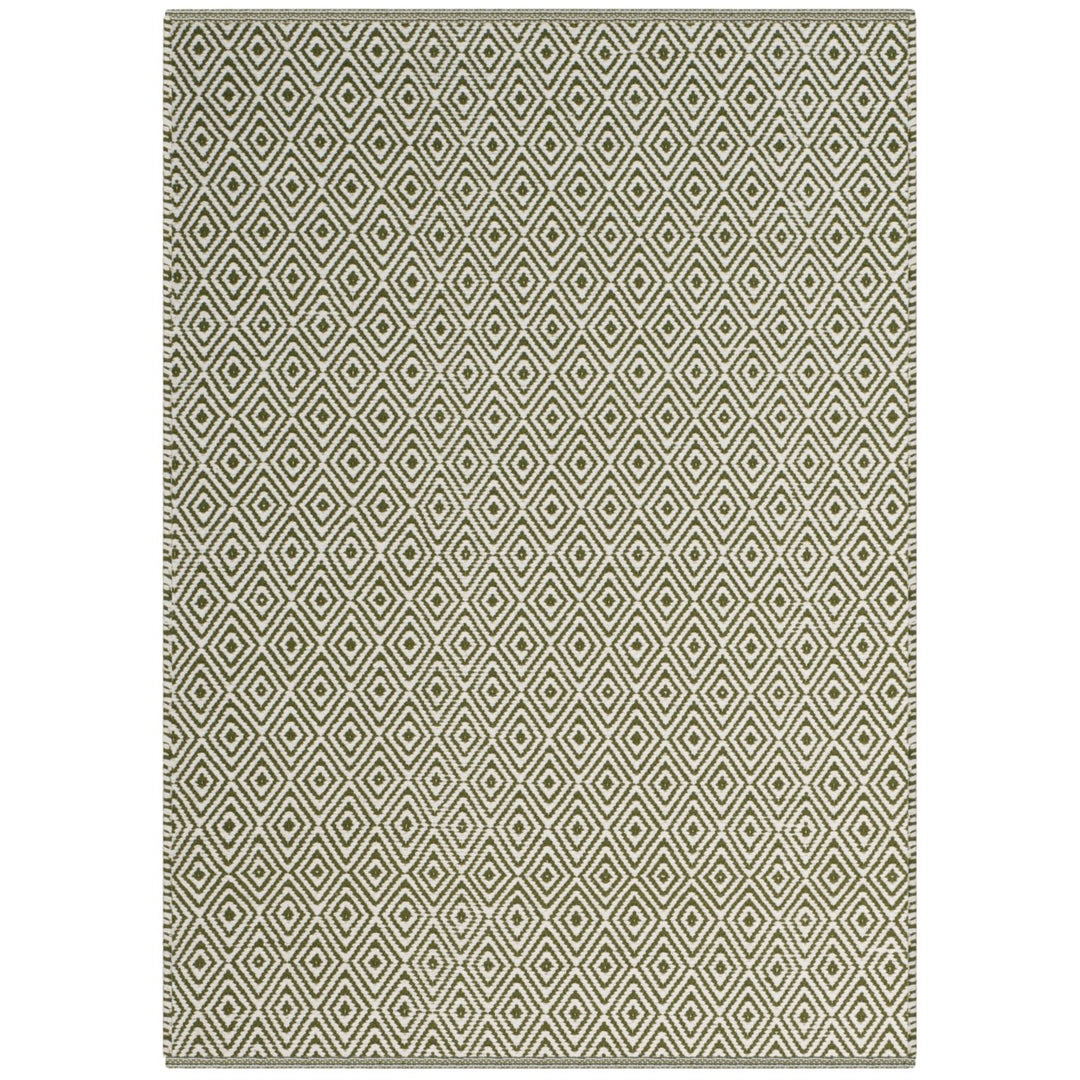 SAFAVIEH Montauk MTK515H Handwoven Ivory / Green Rug Image 1