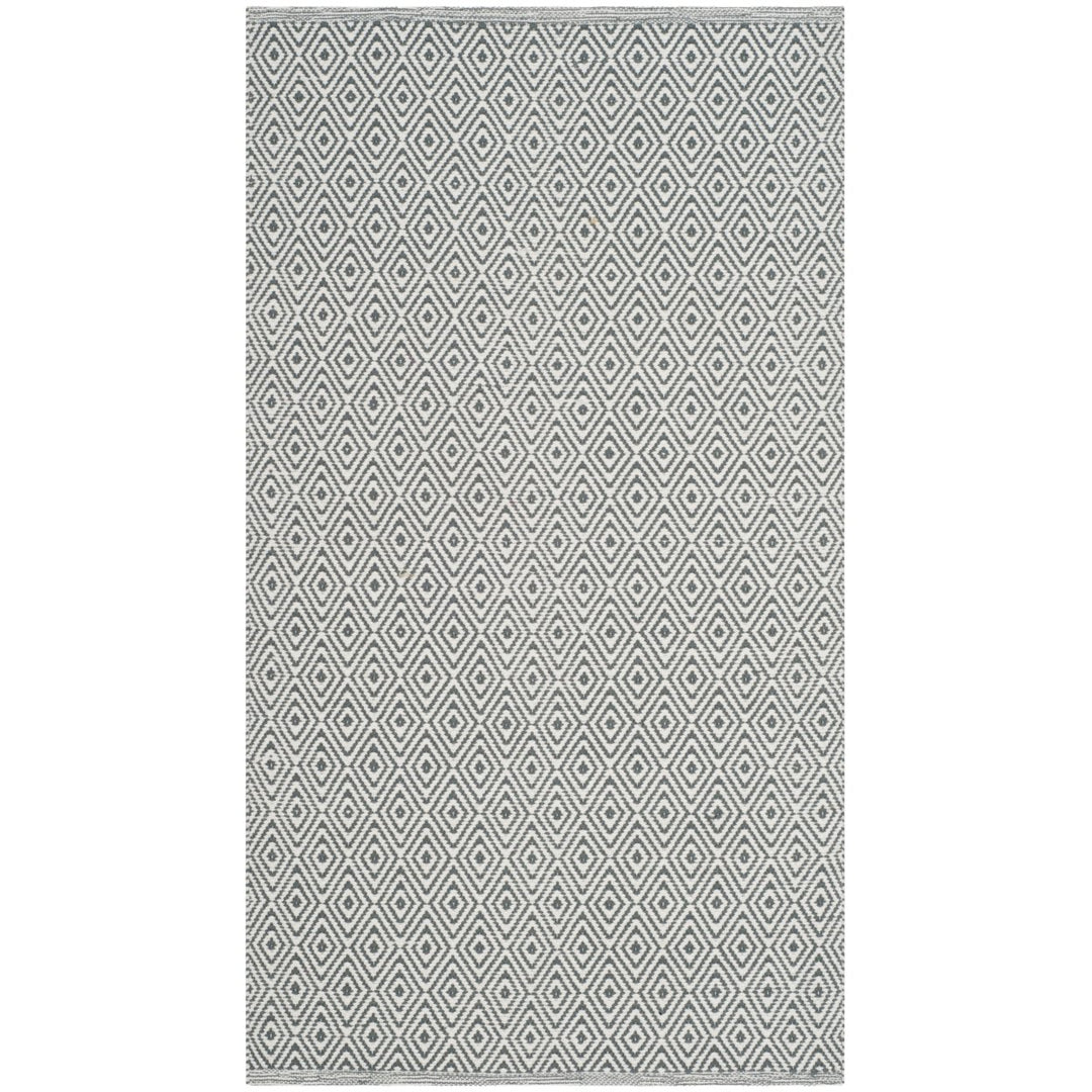 SAFAVIEH Montauk MTK515C Handwoven Ivory / Grey Rug Image 1