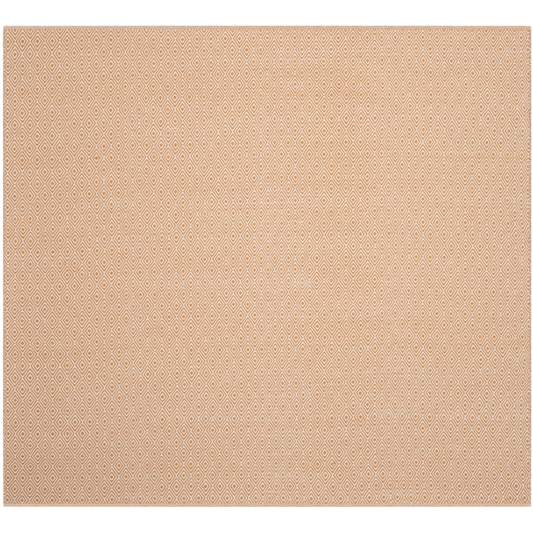 SAFAVIEH Montauk MTK515L Handwoven Ivory / Rust Rug Image 6