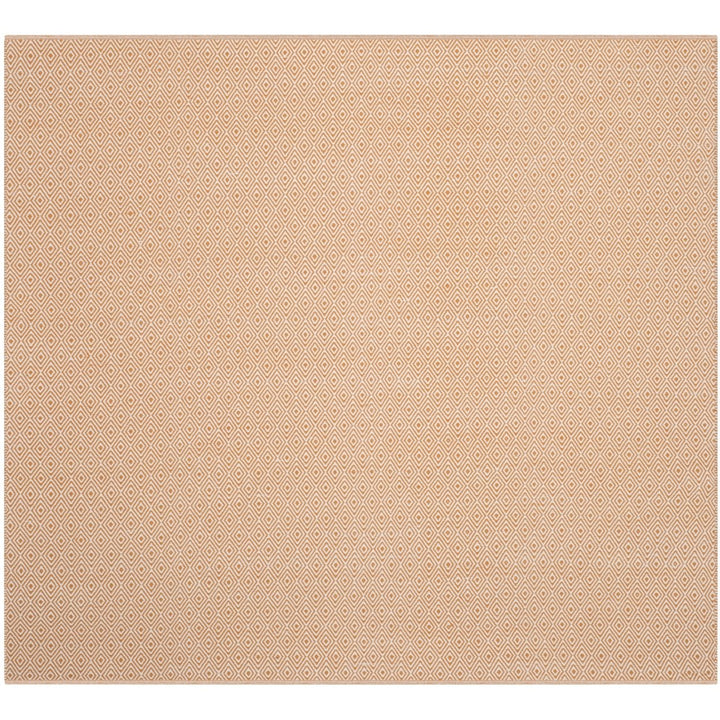 SAFAVIEH Montauk MTK515L Handwoven Ivory / Rust Rug Image 1