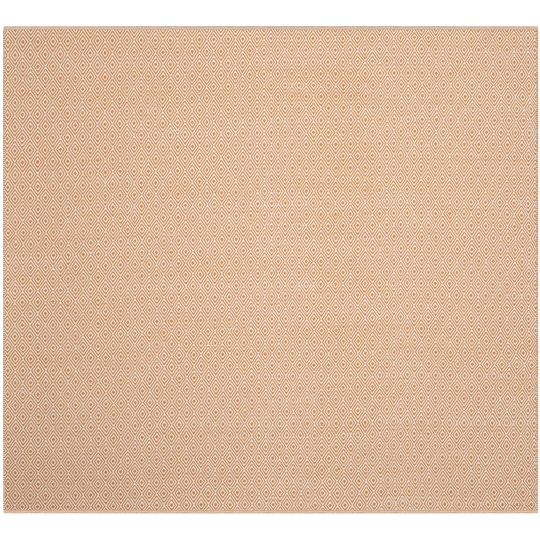 SAFAVIEH Montauk MTK515L Handwoven Ivory / Rust Rug Image 1