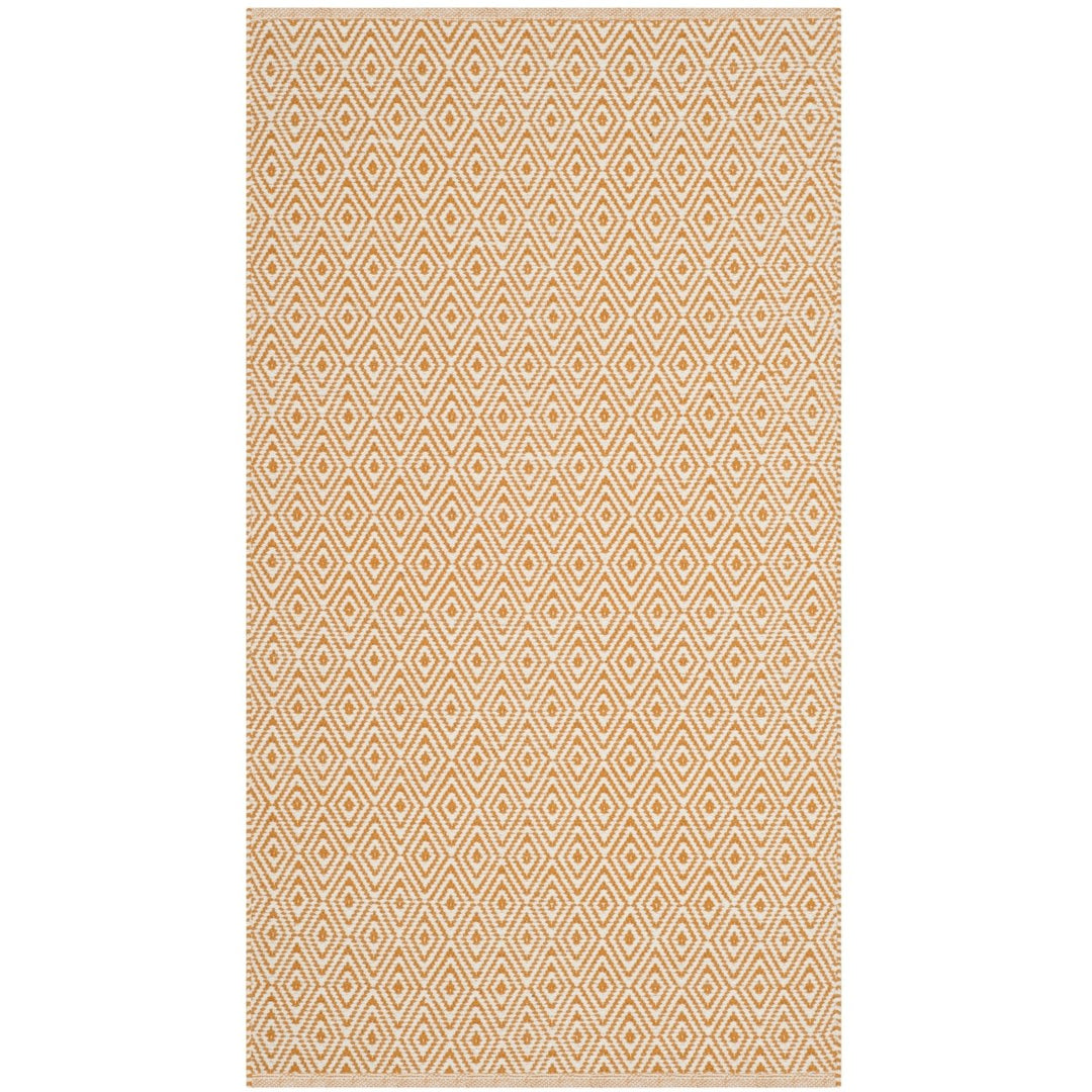 SAFAVIEH Montauk MTK515L Handwoven Ivory / Rust Rug Image 1