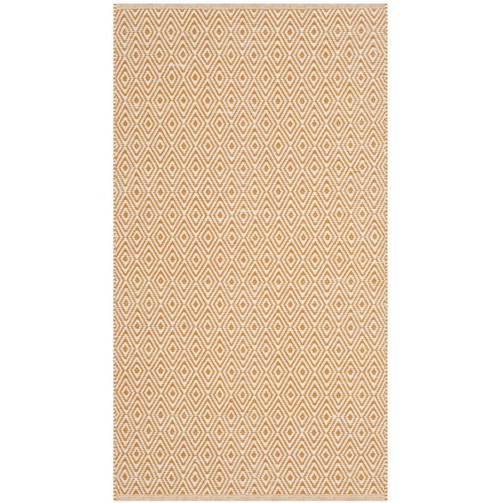 SAFAVIEH Montauk MTK515L Handwoven Ivory / Rust Rug Image 1