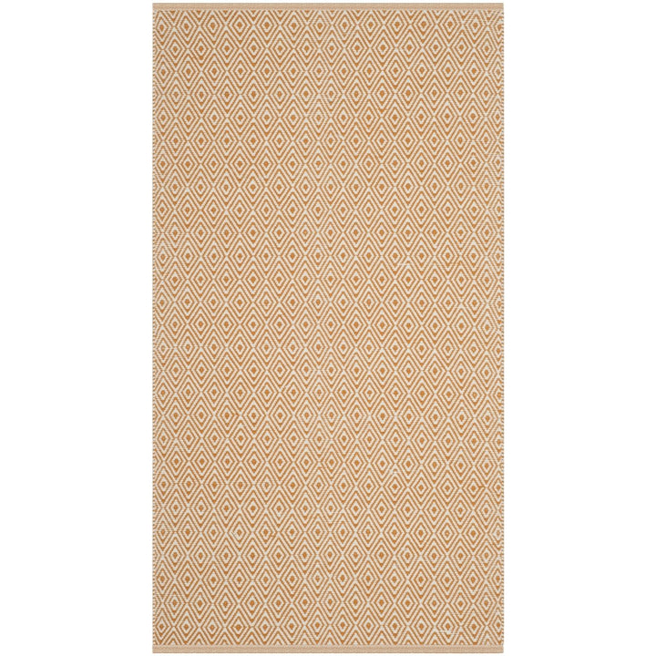 SAFAVIEH Montauk MTK515L Handwoven Ivory / Rust Rug Image 1