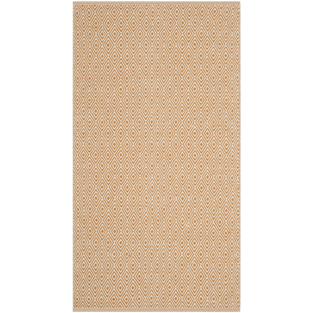 SAFAVIEH Montauk MTK515L Handwoven Ivory / Rust Rug Image 1