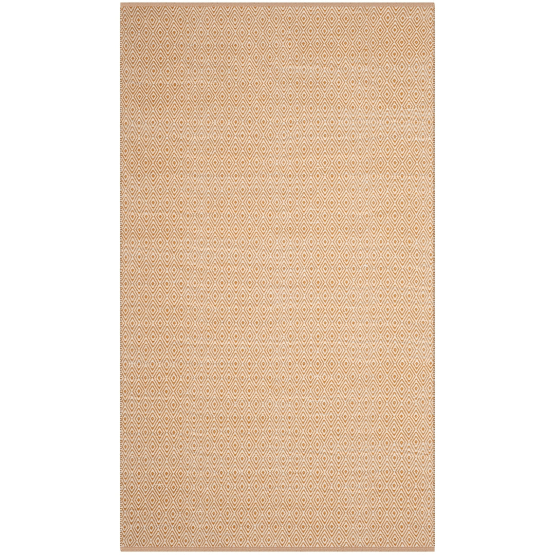 SAFAVIEH Montauk MTK515L Handwoven Ivory / Rust Rug Image 10