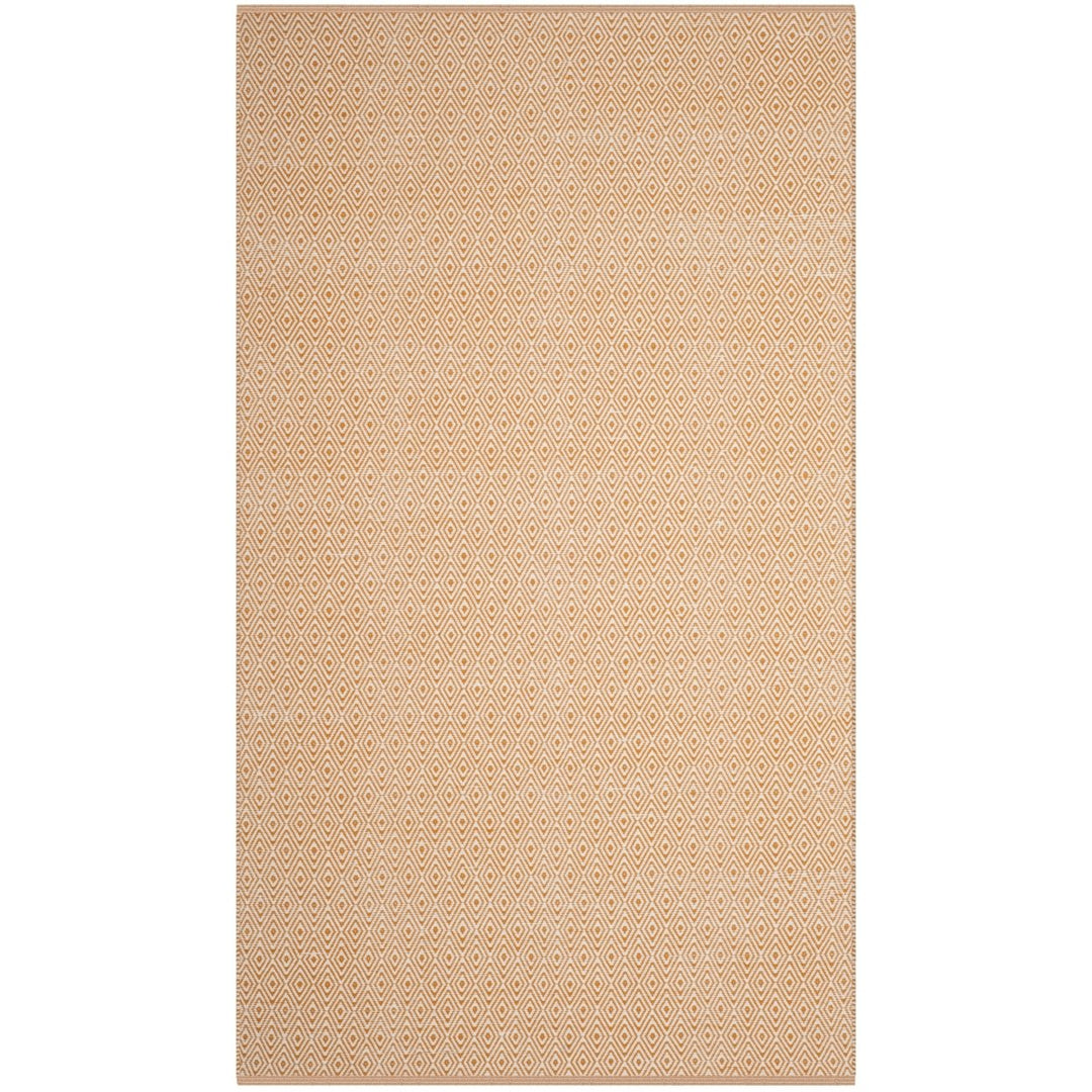 SAFAVIEH Montauk MTK515L Handwoven Ivory / Rust Rug Image 1