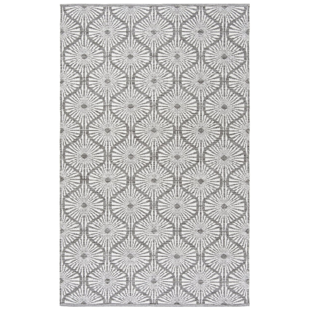 SAFAVIEH Montauk MTK606J Handwoven Charcoal / Ivory Rug Image 1