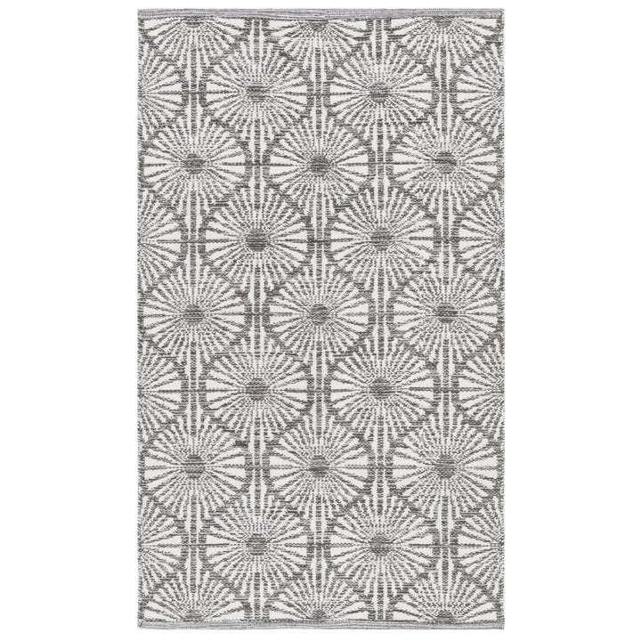 SAFAVIEH Montauk MTK606J Handwoven Charcoal / Ivory Rug Image 1