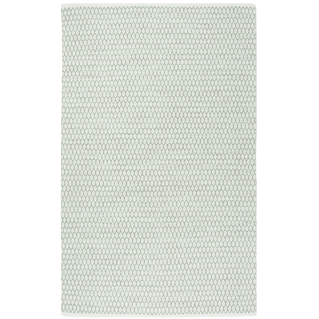 SAFAVIEH Montauk MTK608G Light Green / Ivory Rug Image 1